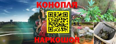 первитин Будённовск